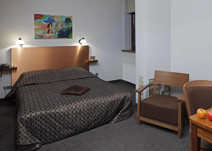 מלון Rija Centre 3*